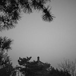 《死亡搁浅2》游戏容量提前曝光 存储需求近百GB